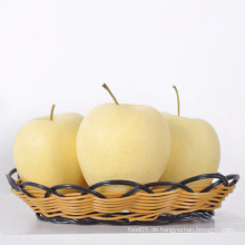 Frische goldene Apfel saftige Apfel süß